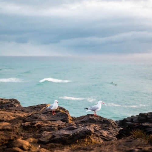 Путешествие на Дальний Восток: Сахалин и Кунашир
