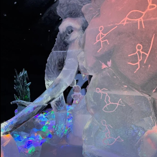 Тур-приключение в Арктике: Териберка и Кировск, кулинарный мастер-класс и северное сияние