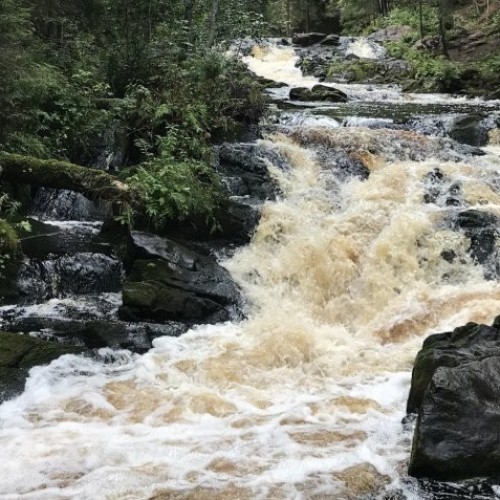 Долина водопадов и треккинг по карельскому лесу с хаски!