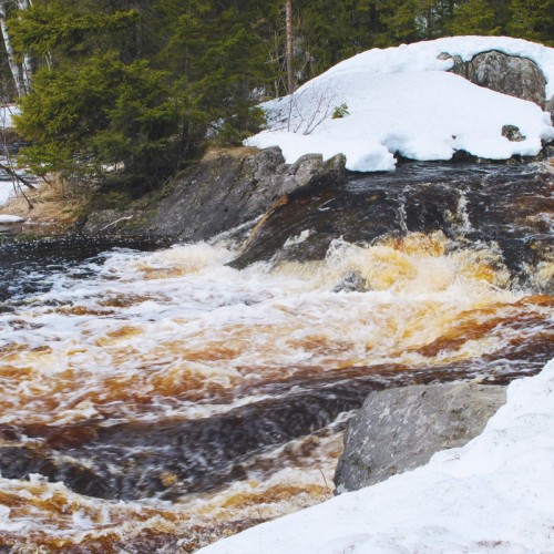В экопарк «Долина водопадов» и музей «Кирьяж» — из Петербурга
