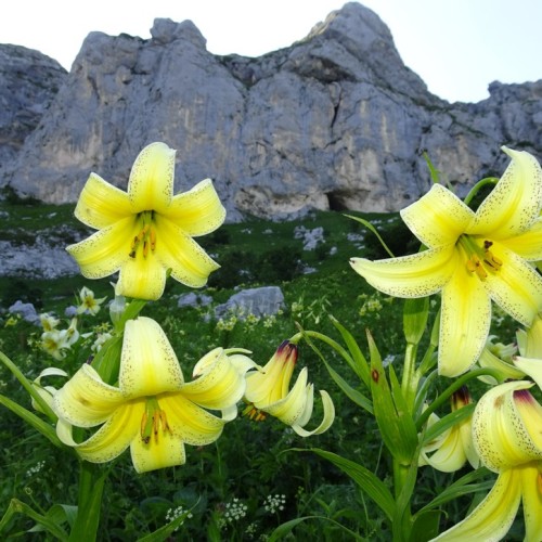 Перезагрузка в горах и на море в мини-группе