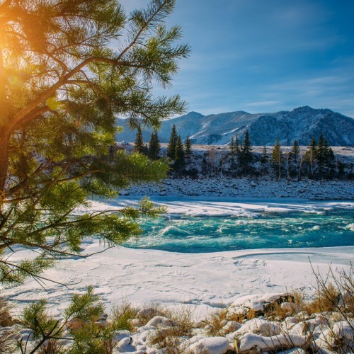 Путешествие в Чемал: открыть природу Горного Алтая