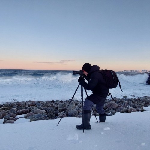 Главные локации и гастровпечатления Заполярья: тур в мини-группе по Мурманску и Териберке