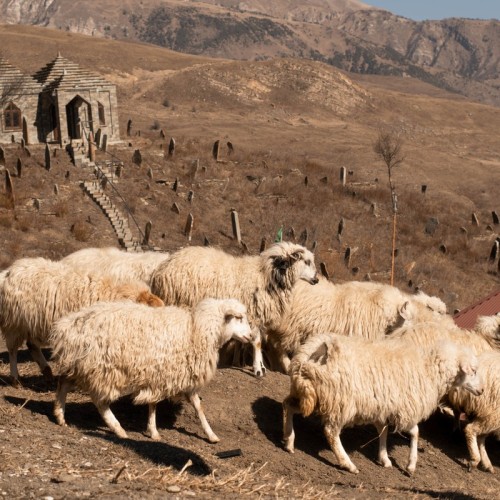 Дагестан с драйвовой компанией: активный тур по топовым местам