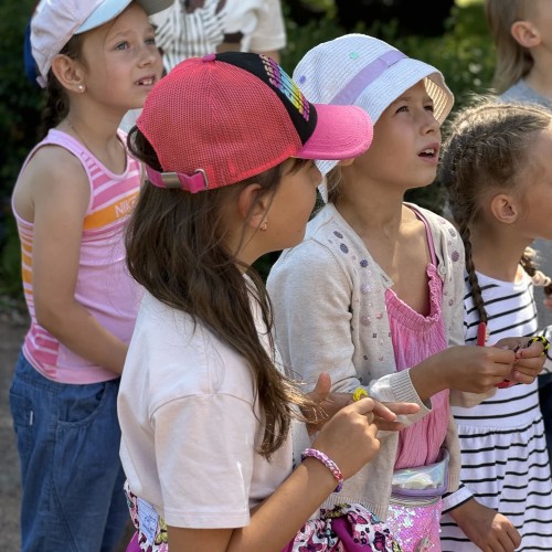 Квест-расследование для всей семьи «По следам петербургских котов»