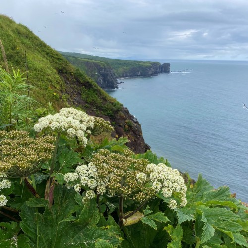 Камчатка в мини-группе: перевалы, бухты, сопки и купание в природных источниках
