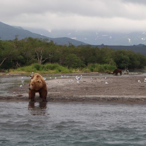 Активный отдых на Камчатке в мини-группе: треккинги, сплавы, квадроциклы