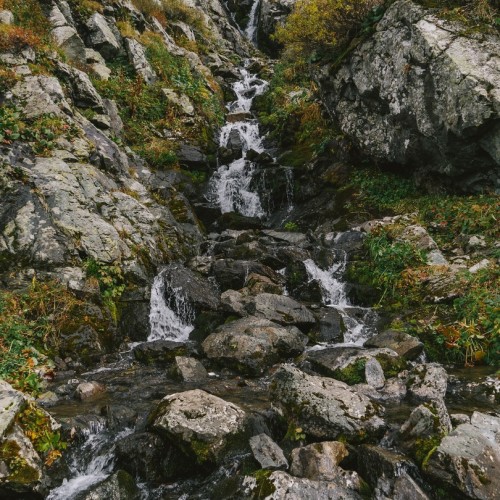 Алтай по максимуму: горные перевалы, прогулка по Телецкому озеру и высадка на Марсе