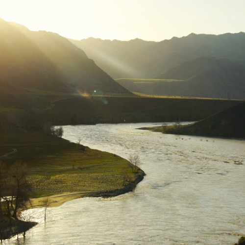 Автотур в мини-группе по знаковым локациям Алтая в период цветения маральника