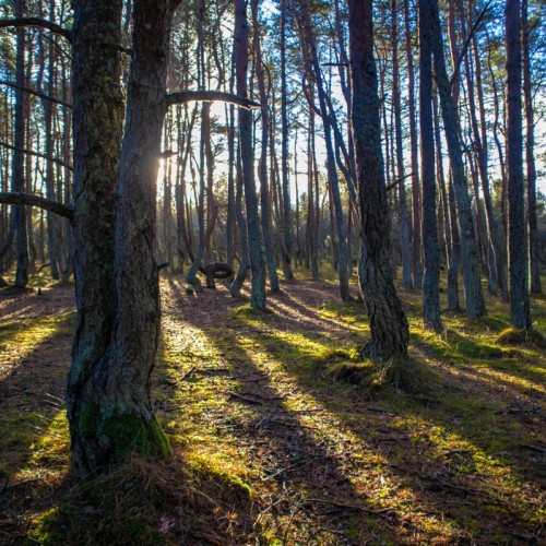 Европейские выходные на Балтийском побережье в мини-группе