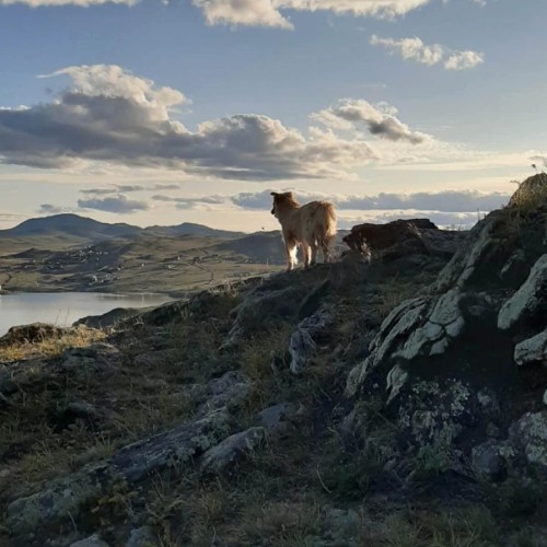 Свидание с Байкалом: Малое Море, Ольхон и экскурсии на выбор