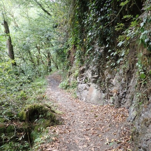 Большой тур по Сочи: природа, архитектура, история