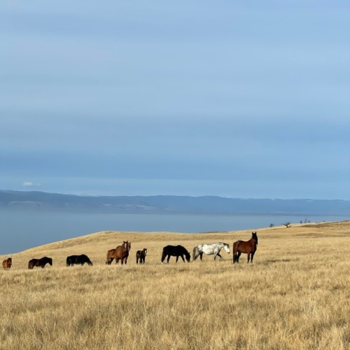 Ольхон, мыс Бурхан и скала Шаманка: 3 дня в сердце священного «моря»