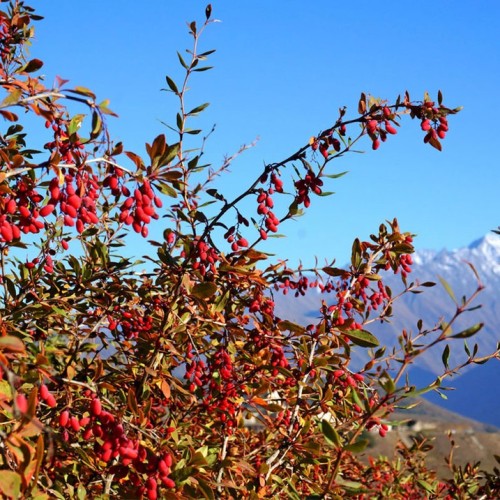 Треккинг налегке по Ингушетии: святилища, башенные комплексы и гора с герба Владикавказа