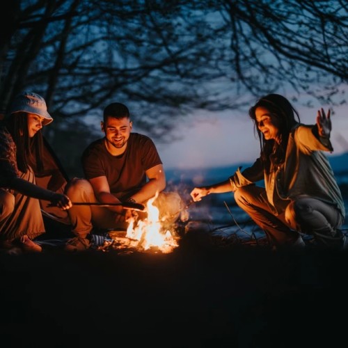 Ладога и звуки леса: побег на природу в небольшой компании от шума и суеты Петербурга