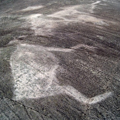 Ваше персональное путешествие вглубь веков: петроглифы, Кижи и Соловецкий монастырь