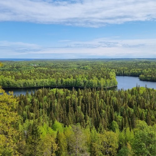 Ваше персональное путешествие вглубь веков: петроглифы, Кижи и Соловецкий монастырь
