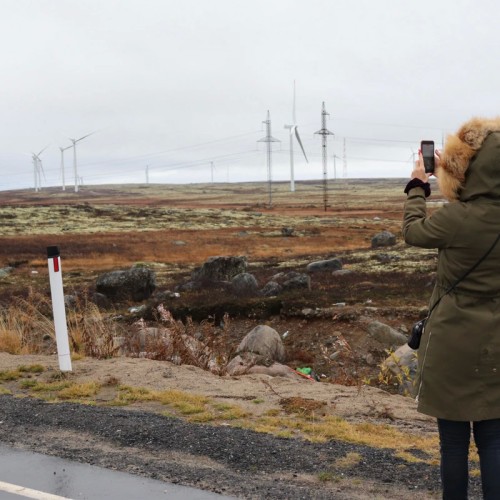 Наедине с северной природой: выходные в лесу с прогулками по Териберке и Мурманску