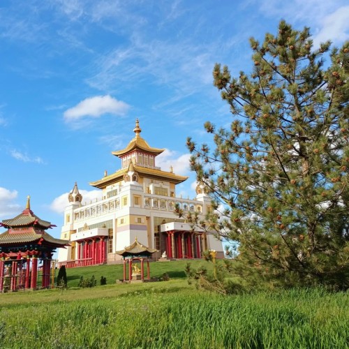 Цветущие тюльпаны и буддийские святыни: из Волгограда в Элисту