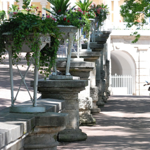 Из Петербурга — в Екатерининский парк