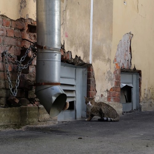 Страшная прогулка по Васильевскому острову