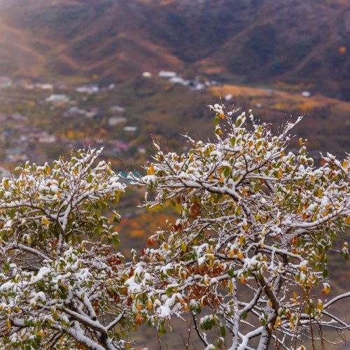 Перезагрузка по-дагестански: всё включено