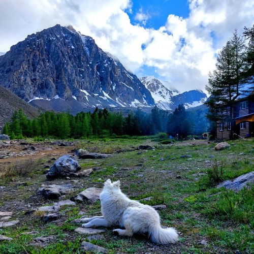 Насыщенный треккинг-тур по Алтаю с размещением на турбазах: более 25 локаций