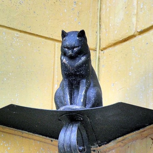 Индивидуальная театрализованная прогулка по Петербургу с гоголевским Носом