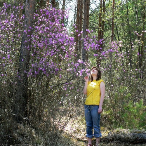 Майские на Алтае в сезон цветения маральника с ежедневными прогулками (всё включено)