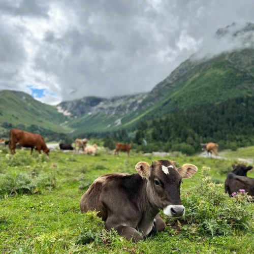 Комфортный Архыз: по горам налегке