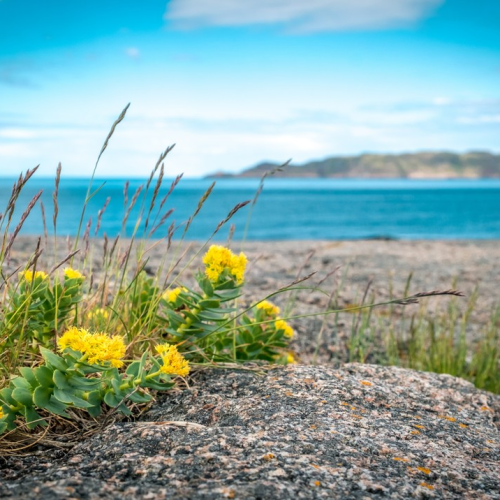 Удивительный Кольский: Сейдозеро, полуостров Средний и Териберка
