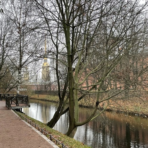 Камера! Мотор! Питер!