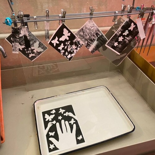 Фотография без камеры: мастер-класс по созданию фотограммы в Петербурге