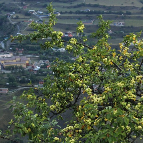 Таинство Ингушетии: треккинг налегке с восхождением на Столовую гору