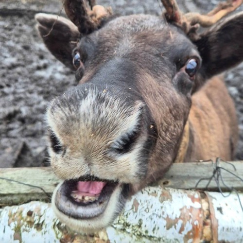 Индивидуально по Заполярью: Териберка, Мурманск и Ура-Губа