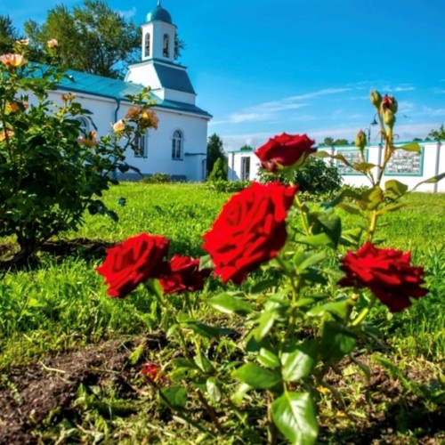 Из Петербурга — к монастырю Александра Свирского и другим святыням