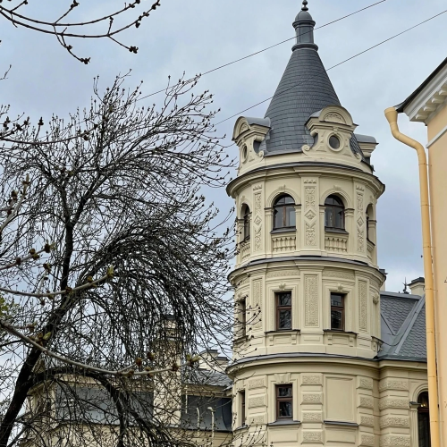 Балетные романы Романовых