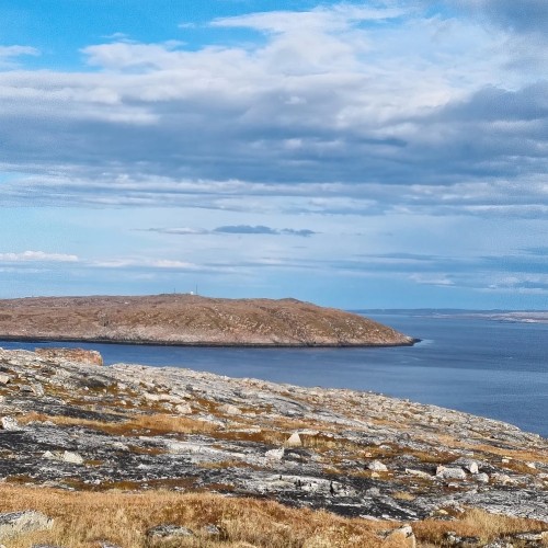 Рыбалка в тундре с ночёвками в палатках: ловим красную рыбу в озере, море или на сопках