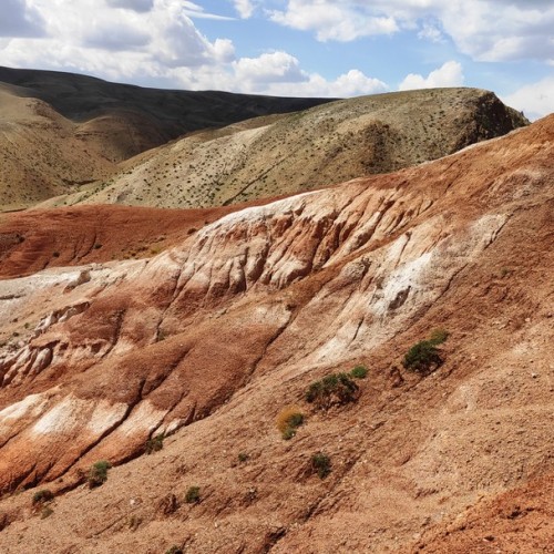 Перезагрузка на Алтае: топ локаций, заповедное озеро и моторафтинг по Катуни