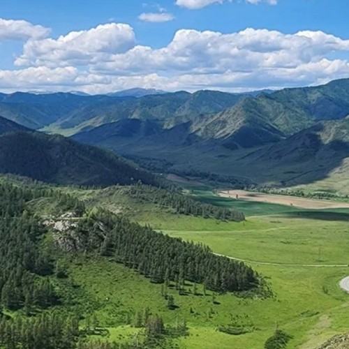 В сиреневом море цветов: весенний автотур по Чуйскому тракту