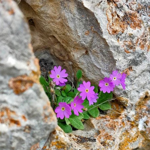 Треккинг налегке по Ингушетии: святилища, башенные комплексы и гора с герба Владикавказа