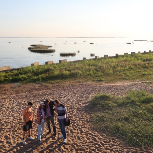 Мобильный квест «Лисий Нос и тайна графа Орлова»