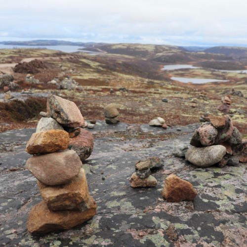 На Кольский в поисках китов и дельфинов мини-группой