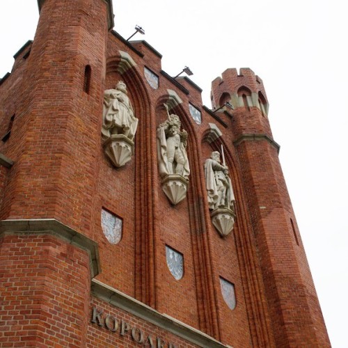 Уехал в Калининград, а приехал в Кёнигсберг: путешествие в прошлое