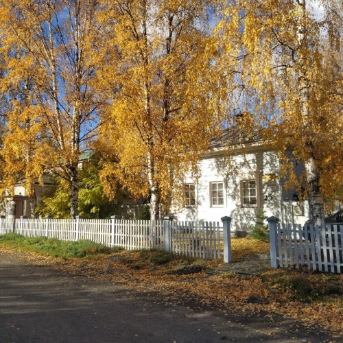 Петрозаводск в трех веках