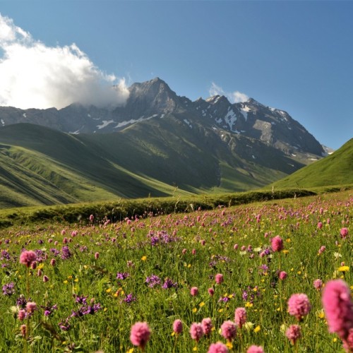 На поезде к жемчужинам Кавказа: города, горы, кухня, традиции 5 республик