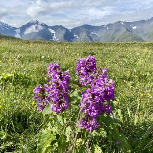 Зов гор: индивидуальное путешествие по Дагестану с подъёмом на Богосский хребет