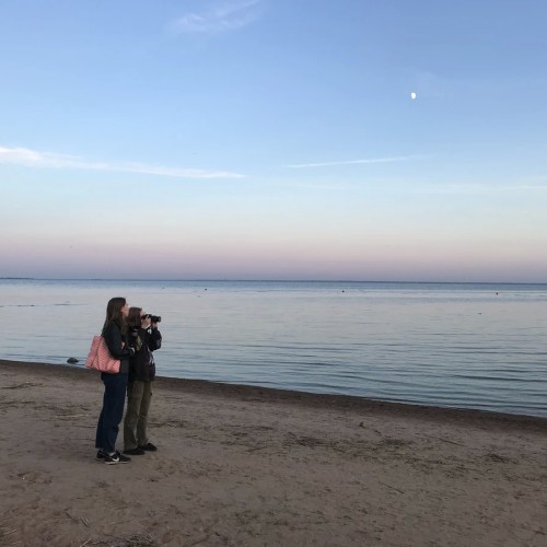 Комарово и дачный Петербург