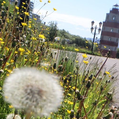 Горы и водопады Севера: тур на Кольский полуостров в мини-группе