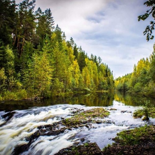 Карельский уикенд: автобусно-пешеходный тур с посещением о. Кижи